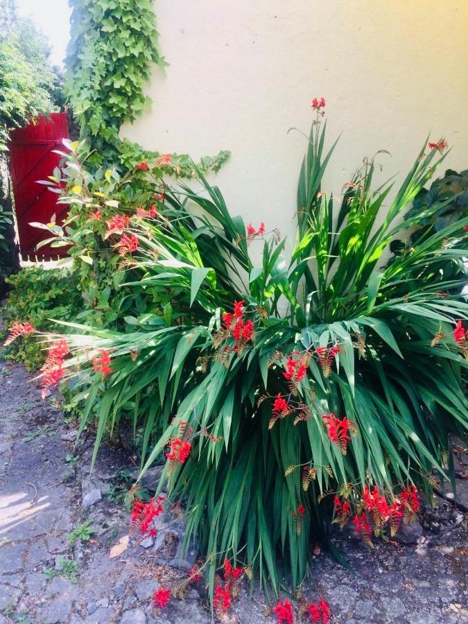 The Tower House B&B Thomastown  Extérieur photo